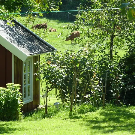 Ferienhaus Vollandt Casa vacanze
